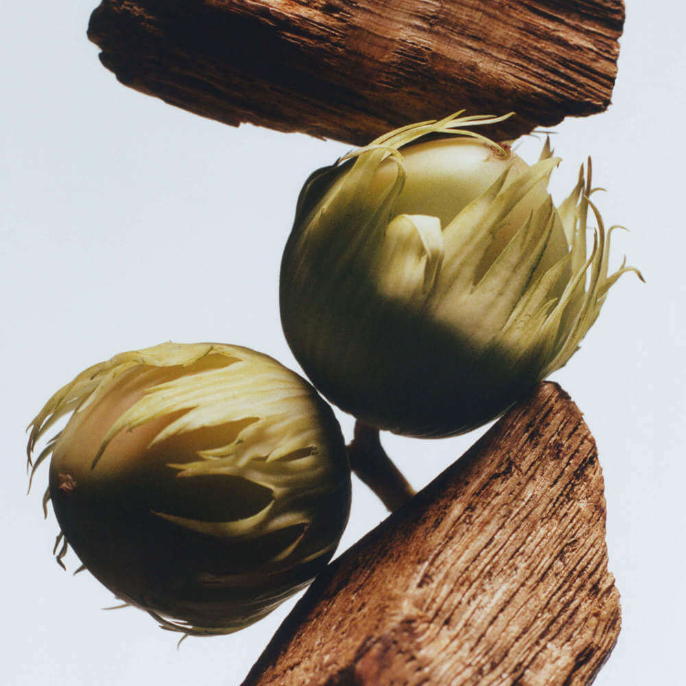 Jo Malone London English Oak And Hazelnut Cologne 30ml | Jarrolds